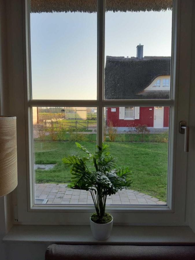 Ferienhaeuser Luv Und Lee Ovs 106 Neu 20 Циров Экстерьер фото